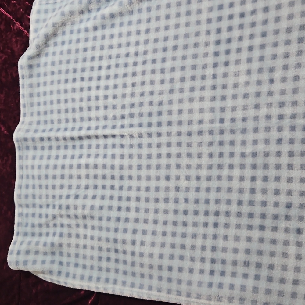 Blue Checkered Baby Blanket with Monkey Design - Picture 2 of 3